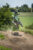 hanging_on_reduced