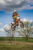 hanging_on_reduced