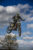 hanging_on_reduced