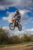 hanging_on_reduced