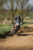 hanging_on_reduced