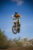 hanging_on_reduced